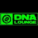 DNA Lounge Live CA, San Francisco