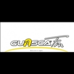 Guasca FM Colombia, Ibague