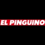 Pingüino Radio Chile, Punta Arenas