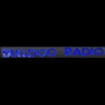 Bulldog Radio Netherlands, Amsterdam