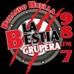 La Bestia Grupera Mexico, Tapachula