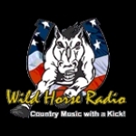 Wild Horse Radio OH, Greenville