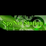 Spynet Station - The Main Flow Russia