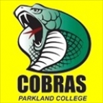 Cobra Sports Net PA, Chesterbrook