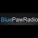 Blu Paw Radio MN, Alexandria