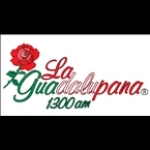 La Guadalupana 1300 Mexico, Morelia