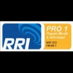 RRI PRO 1 Pekanbaru Indonesia, Pekanbaru