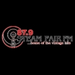 Steam Fair FM United Kingdom, Blandford