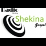 Radio Shekina Gospel Brazil, Artur Nogueira