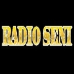 Radio Seni Denmark
