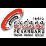 Radio Cendana Indonesia, Pekanbaru
