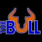 The Bull United States
