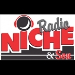 RADIO NICHE Y SON Colombia