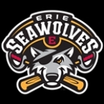 Erie SeaWolves Baseball Network United States
