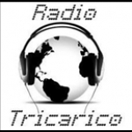 Radio Tricarico Italy, Licenza