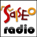 Salseo Radio Puerto Rico