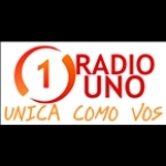 Radio Uno 97.1 Argentina, Puan