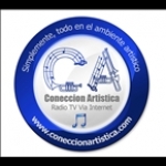 Coneccion Artistica United States