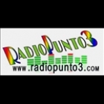 Radio Punto 3 France