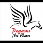 Pegasus Net Waves United States