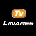 Television Linares Spain