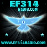 EF314 Radio United States