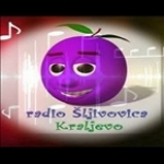 Radio Sljivovica Serbia, Kraljevo