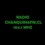 Chanquina Chile, Chanco