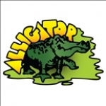 Alligator Records Radio IL, Chicago