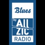 Allzic Jazz Blues France