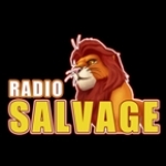 Radio Salvage United States