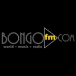 BongoFM.com-BongoFlava African and WorldBeat Radio United States
