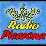 Radio Picarona de Villarrica Chile, Malalhue