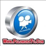 Palomora TV Guatemala