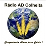 Rádio AD Colheita Brazil, Cassia