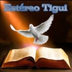 Estereo Tigui United States