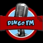 Dingo FM Turkey