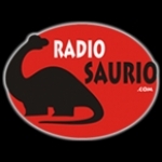 Radio Saurio Peru, Cusco