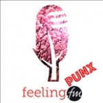 Radio Feeling FM (FeelingPunx) Chile