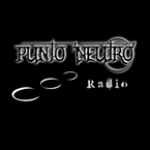 Punto Neutro Radio Mexico