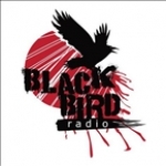 Black Bird Radio Russia