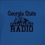 Georgia State Panthers Radio United States