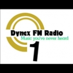 Dynex FM Netherlands