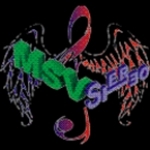 MSVStereo South Africa