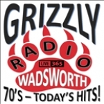 Wadsworth Grizzly Radio United States