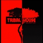 Tribal House United Kingdom