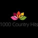 1000 Country Hits United Kingdom