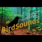 BirdSounds Australia