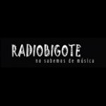 Radio Bigote Chile