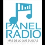 PANEL RADIO Spain
